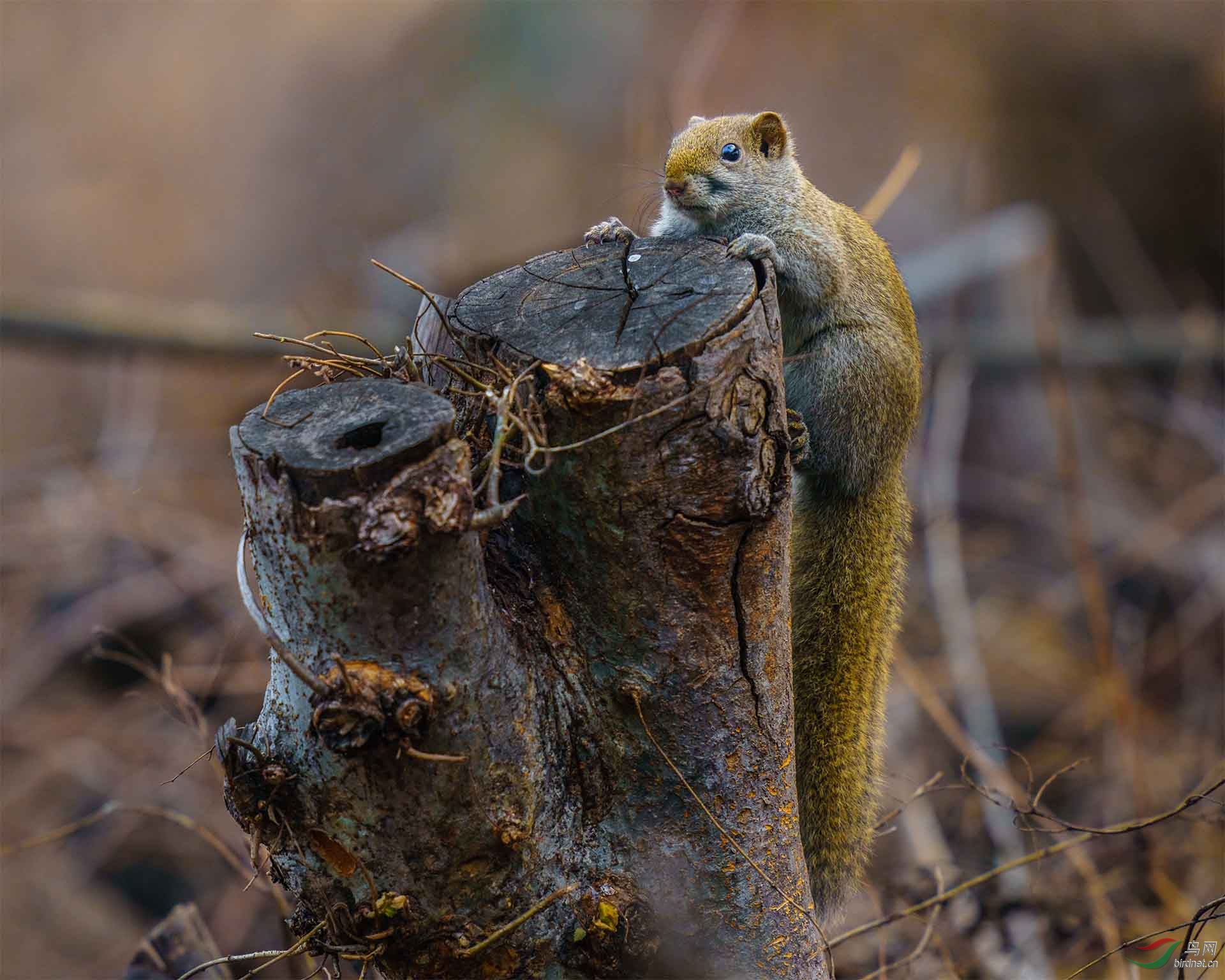 _DSC0064 ����0070��4��-Pano s.jpg