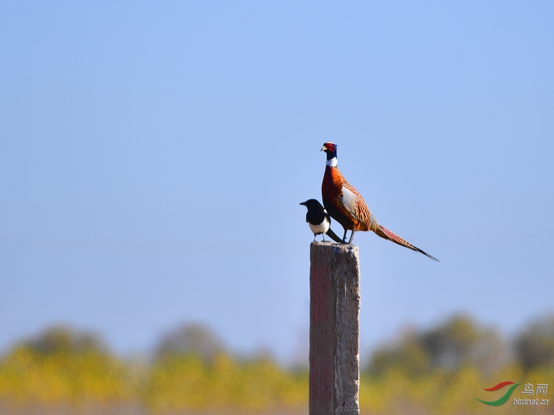 DSC_3075_��ͼ��.jpg