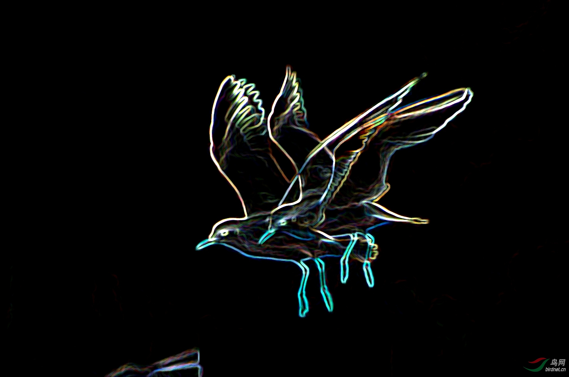 DSC_8648_conew1.jpg