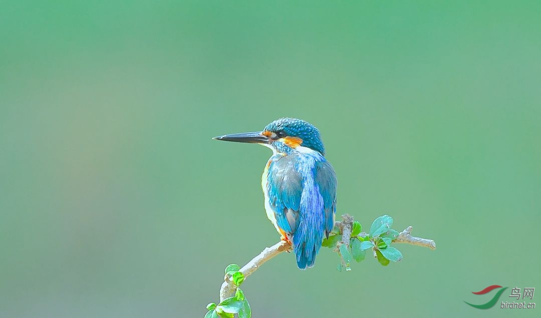 DSC_3507.jpg