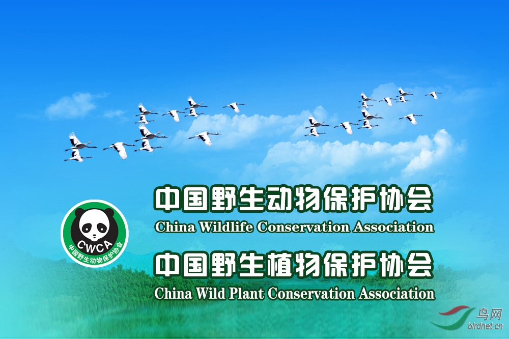 185330odmxmfmx3qq36d66.jpg
