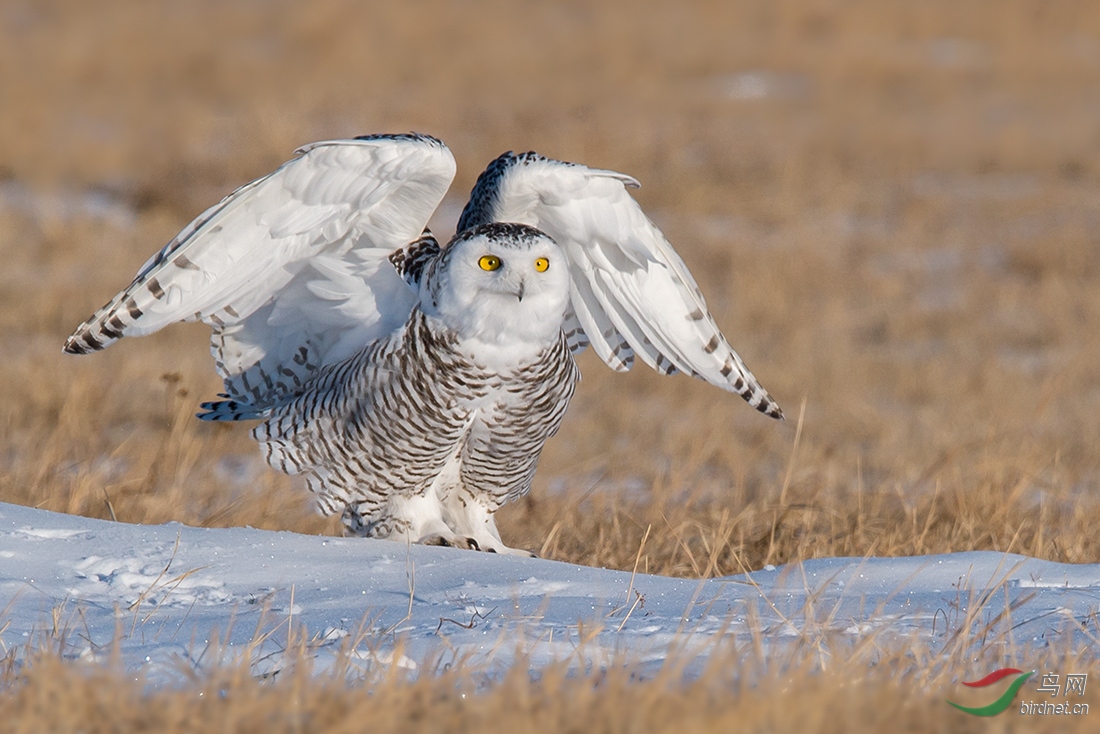 _DSC0024 (2)����.jpg