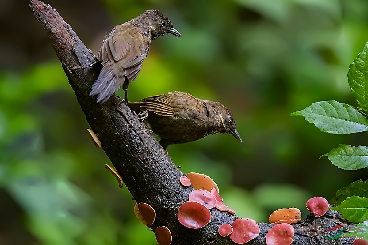 _MG_3858.jpg