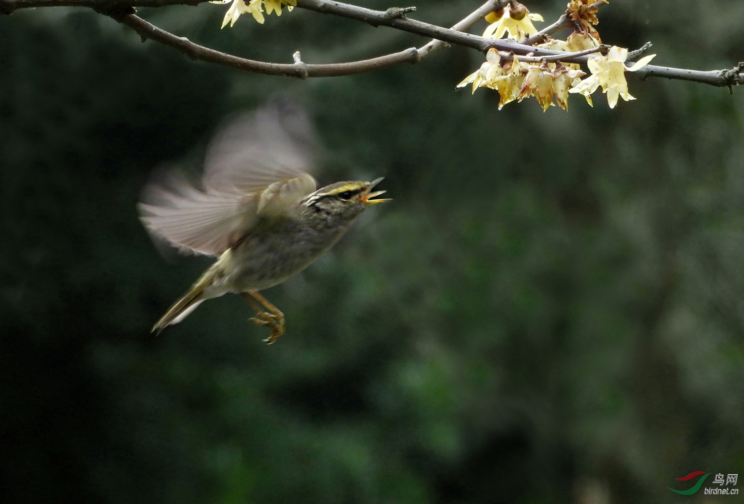 DSCN8091 ����.jpg