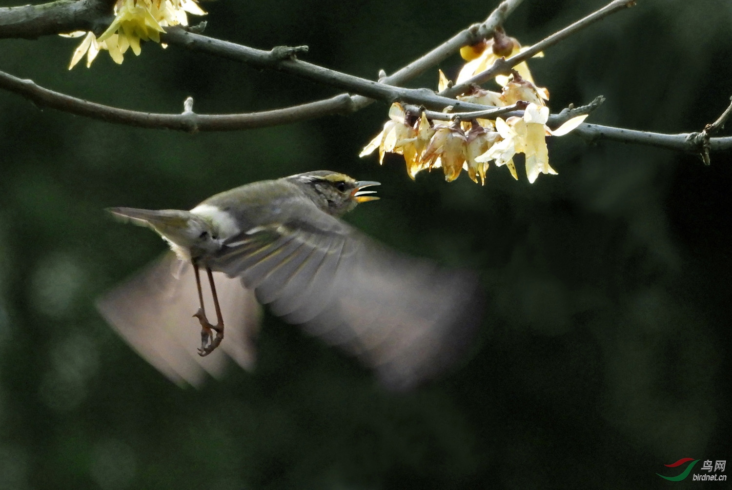 DSCN8221 ����.jpg