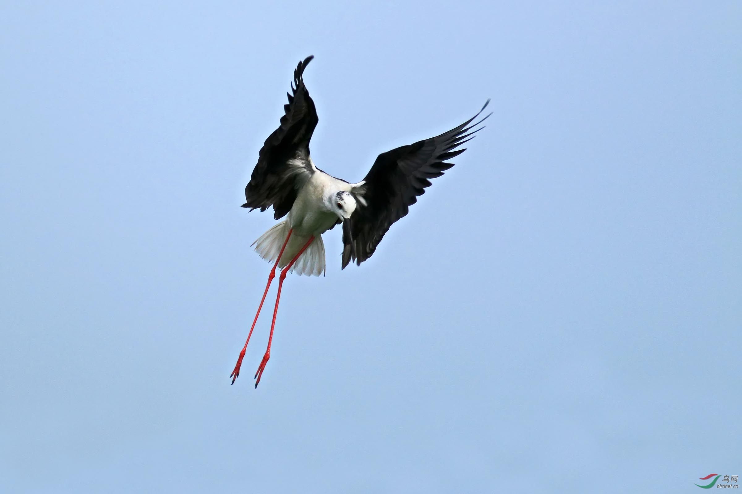 IMG_9728.JPG