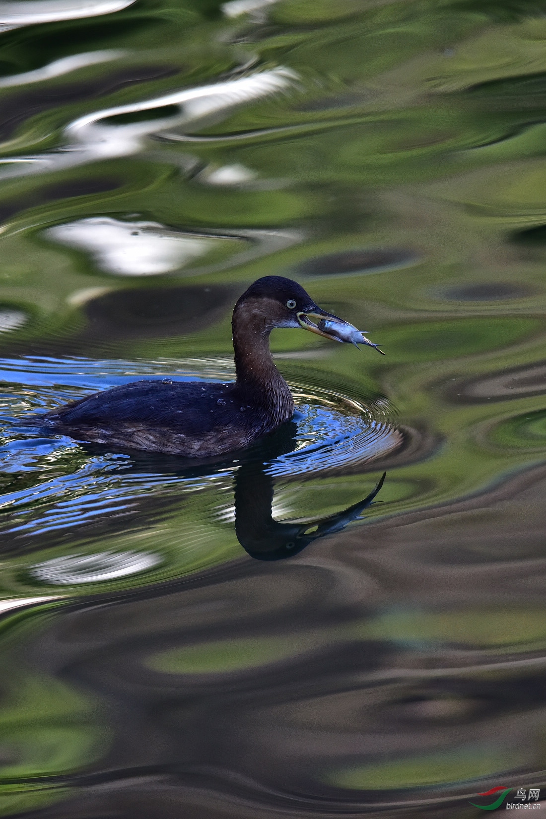 DSC_0512.JPG