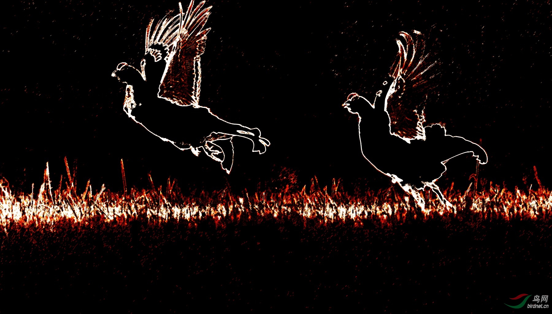 LYK_0438_���� ���� 2_����.jpg