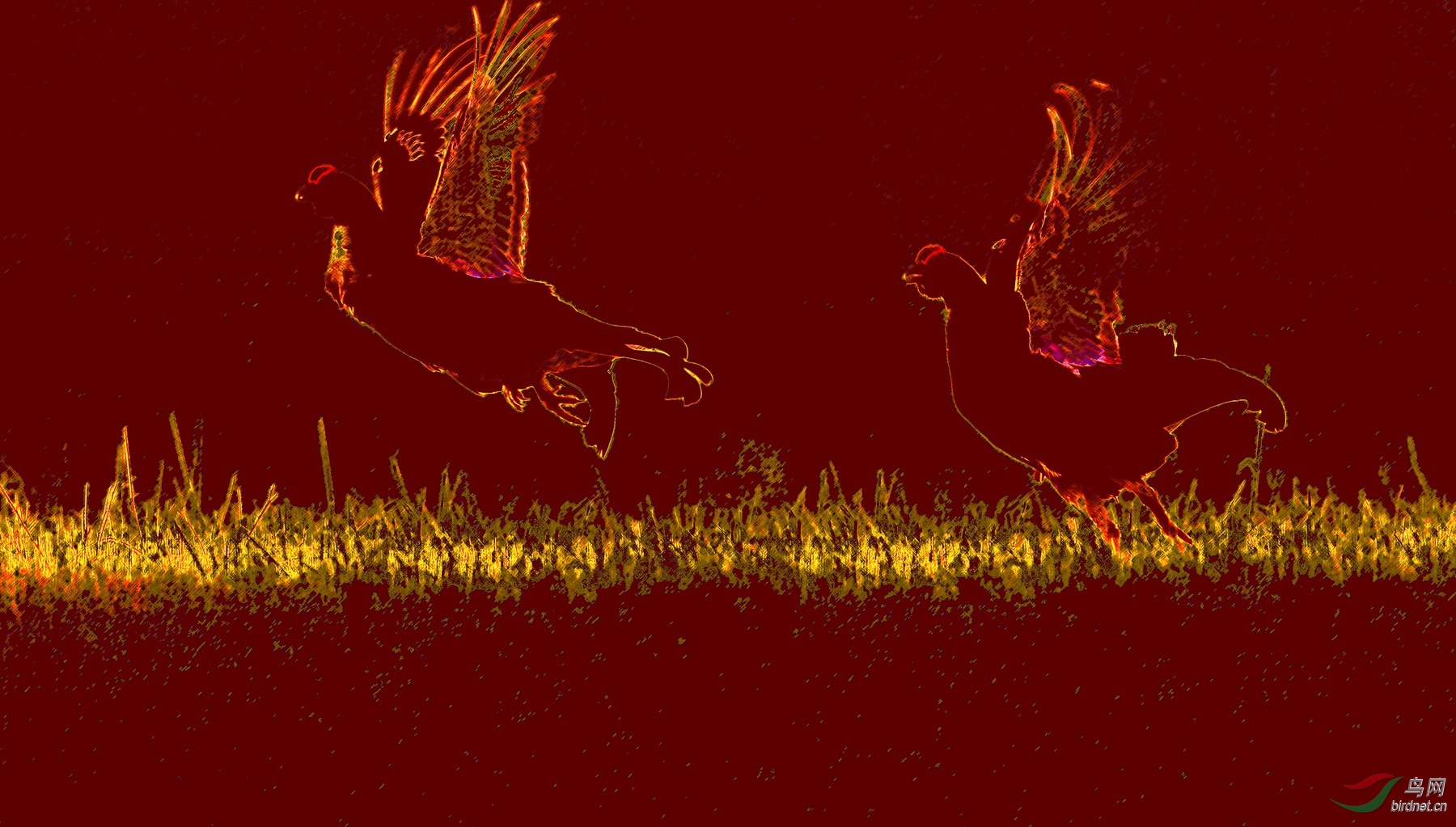 LYK_0438_���� ����_����.jpg