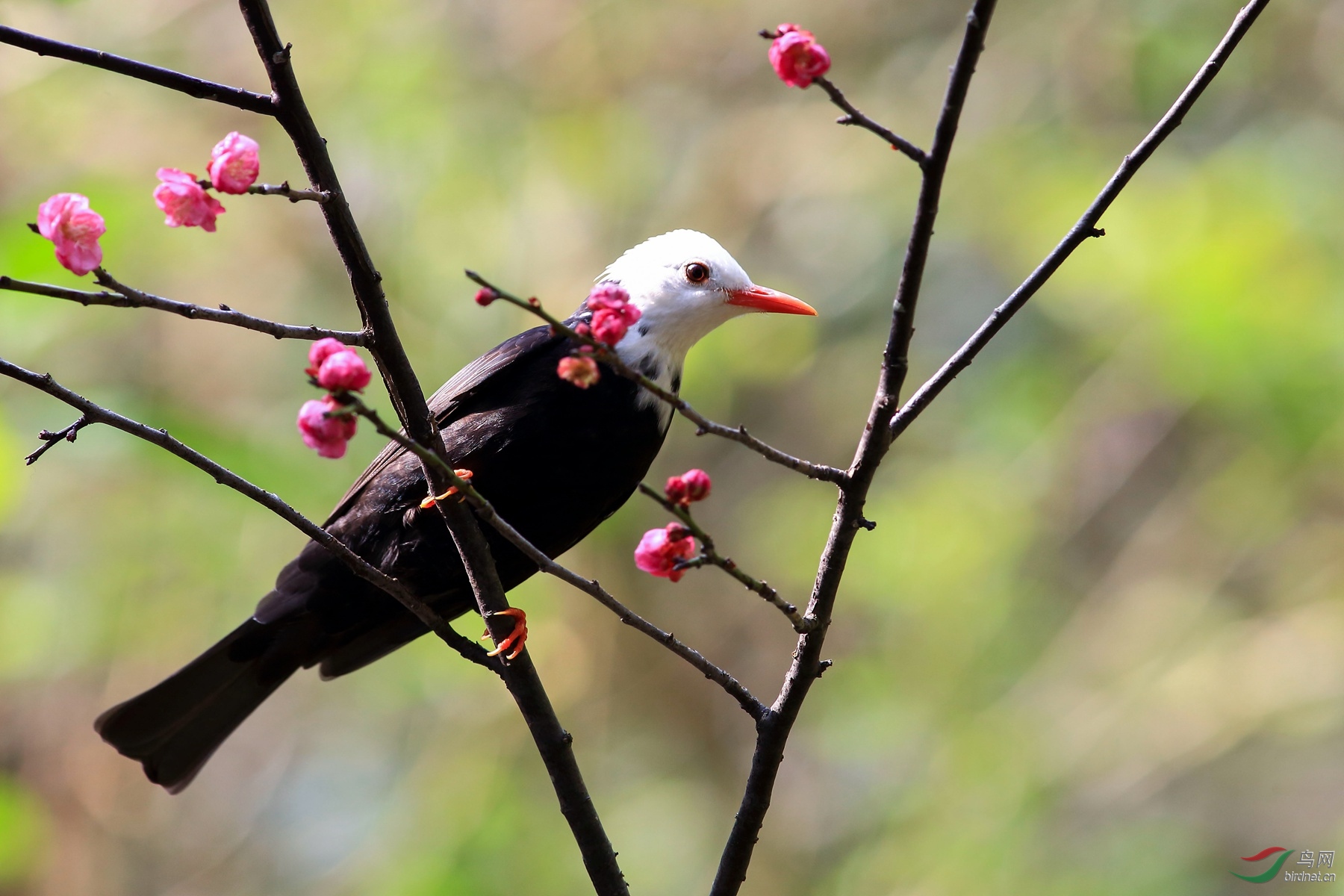 2019-01-22 09-52-56.JPG