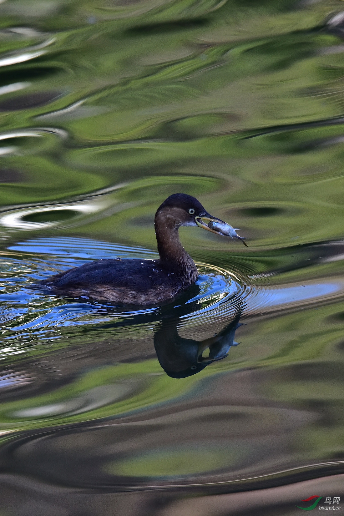 DSC_0513.JPG
