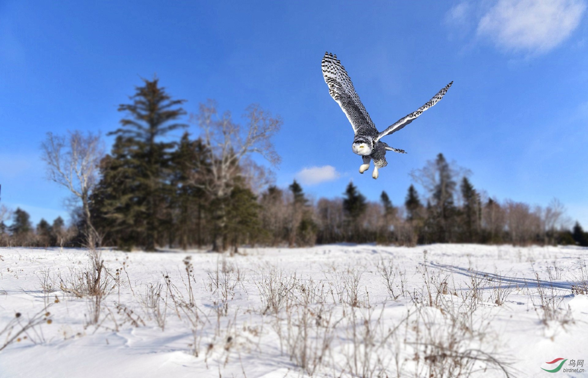 2TZ_3189 - ����.JPG