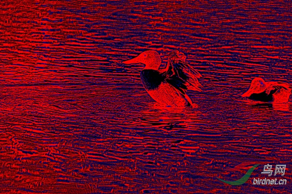 BW6I0110_����_����1_����1_����1_����_����.JPG