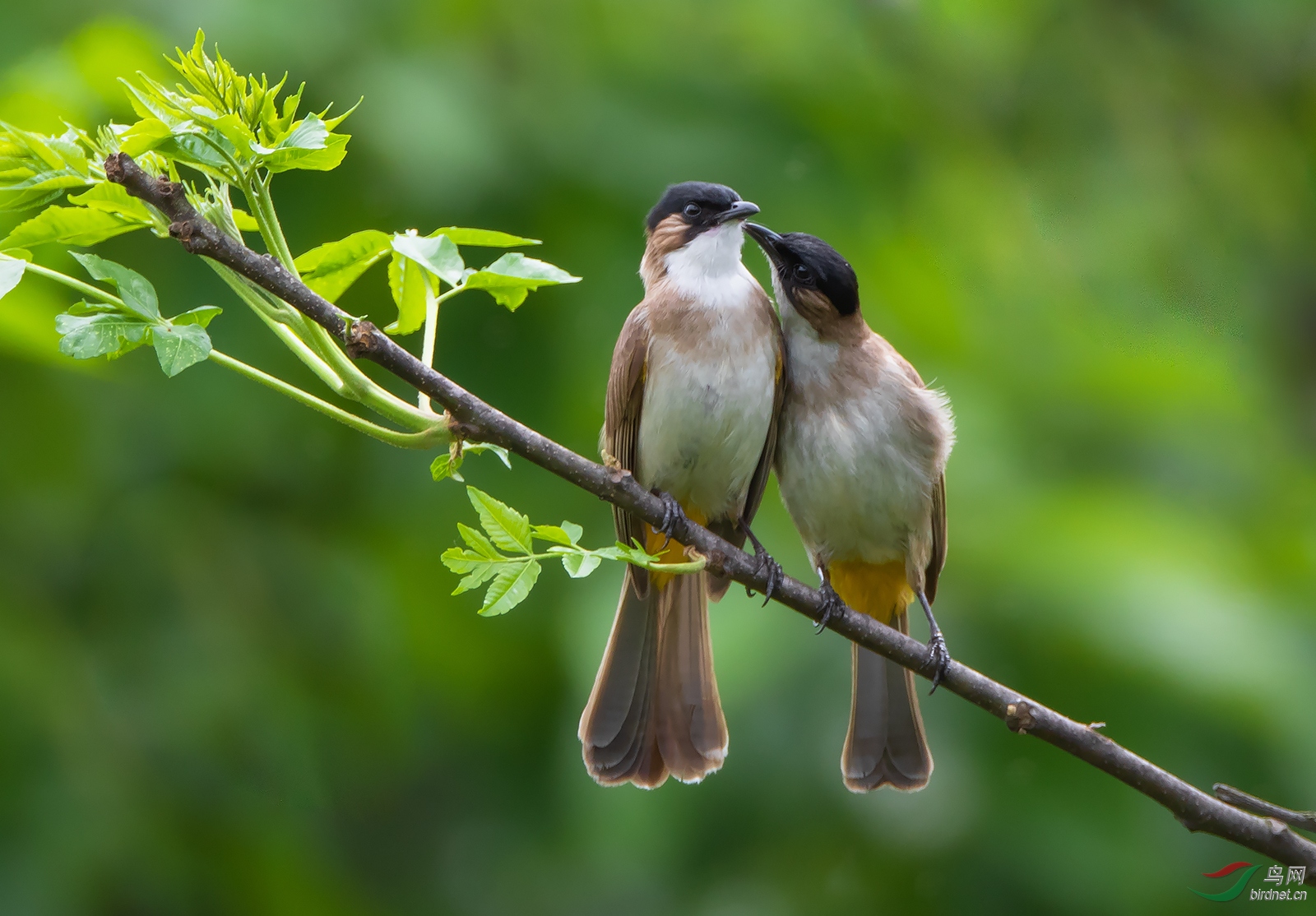 ����Ƭ0X3A8559.jpg