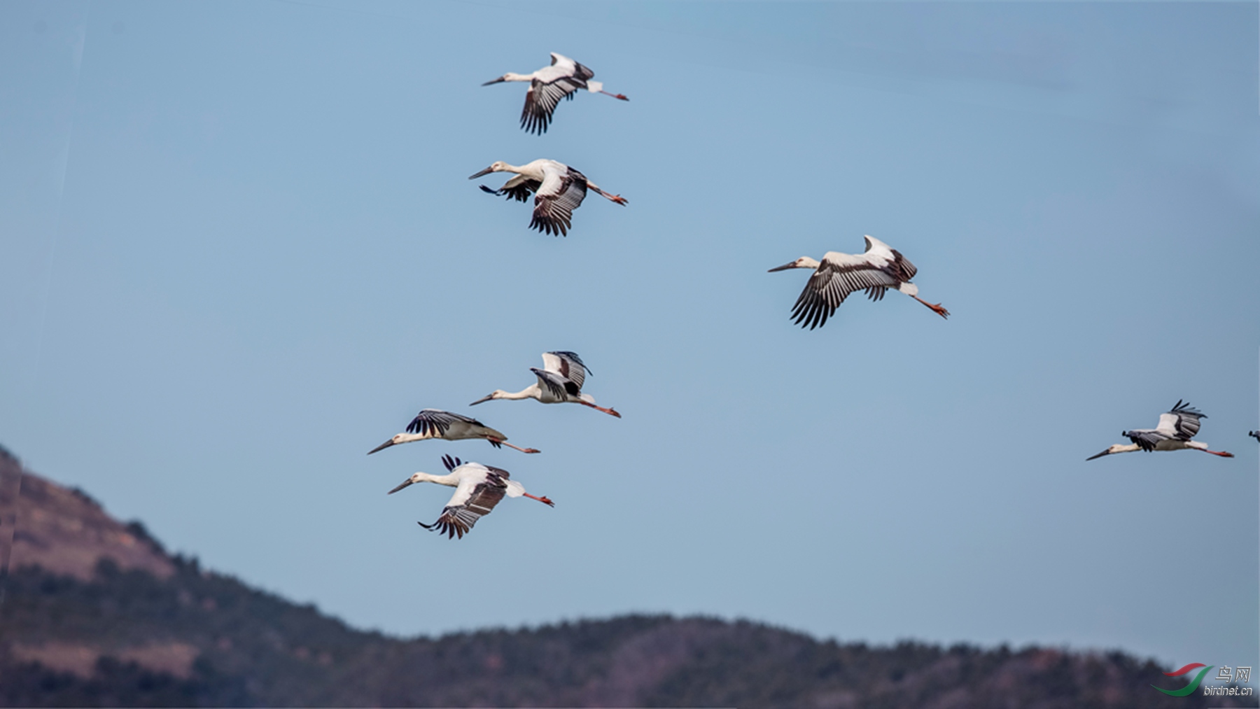 916A9594  01_����.jpg