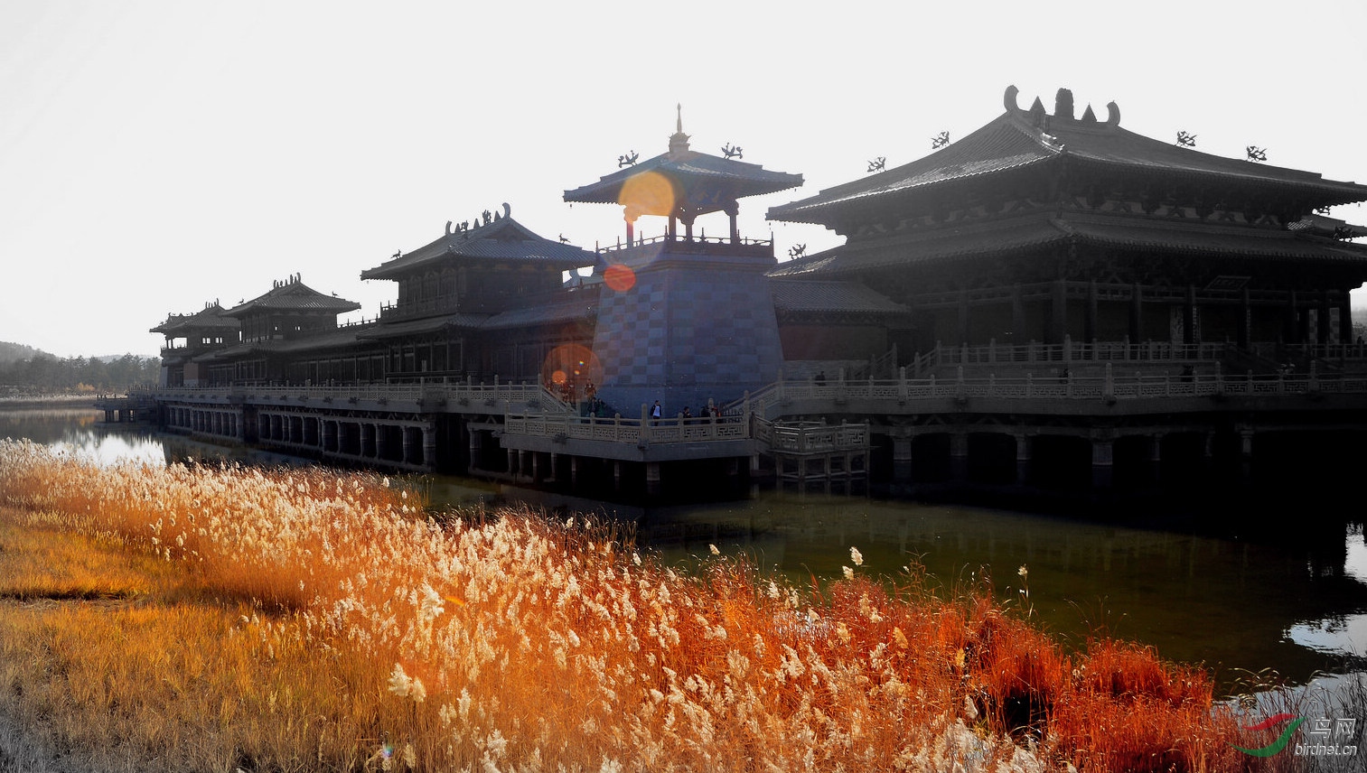 ���� DSC_0247.JPG