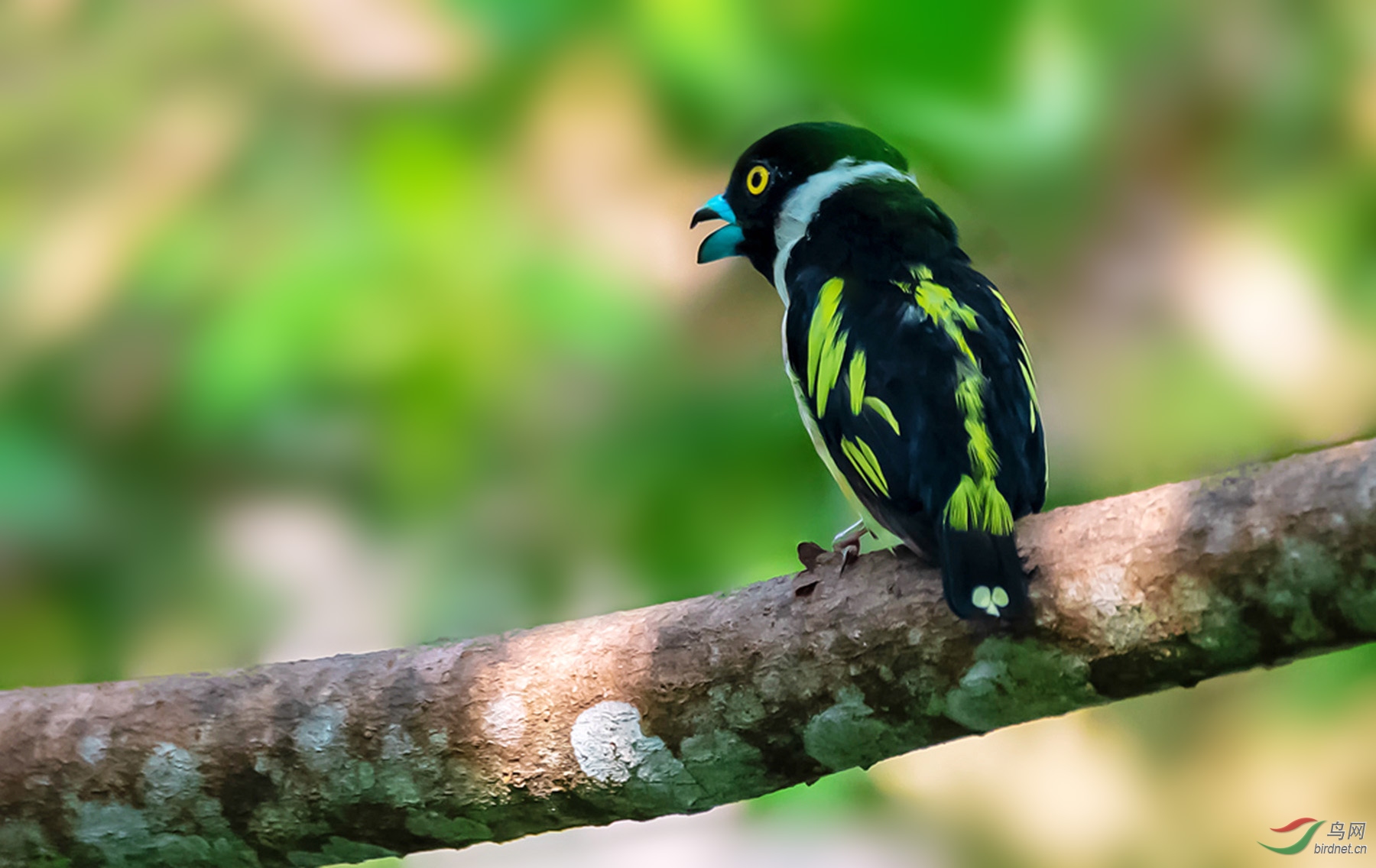 DSC_4569ps_����2.jpg