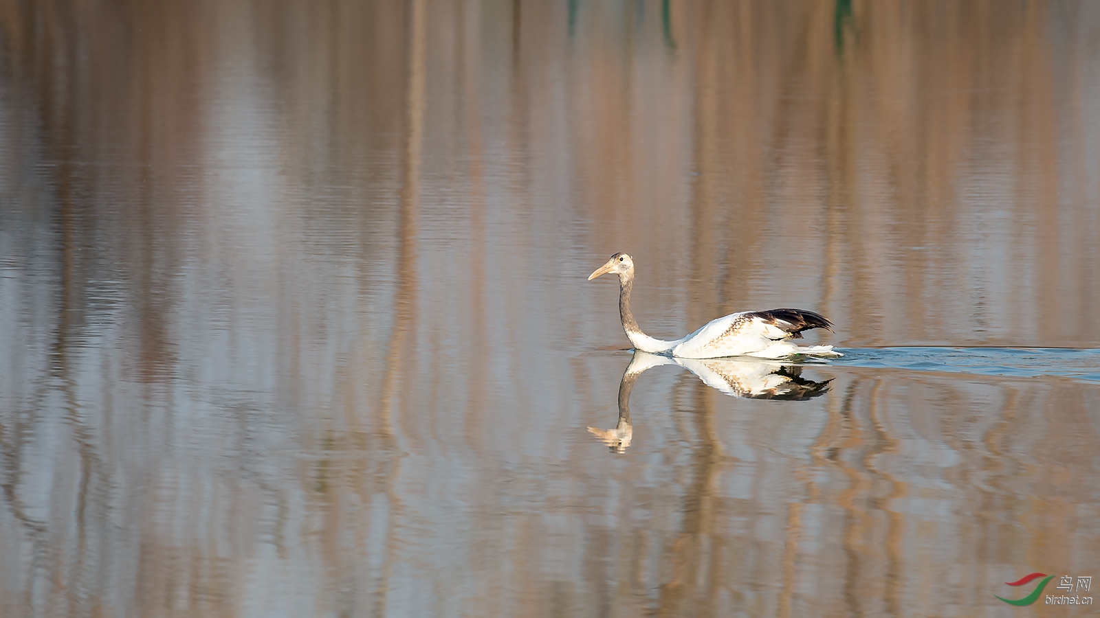 _DSC5528-2.jpg