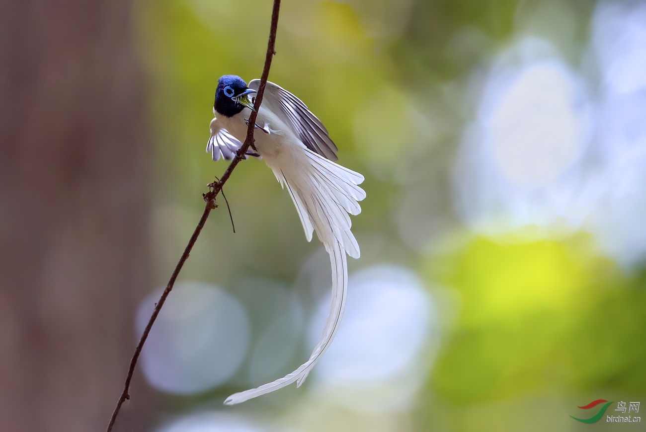 DSC_1260.jpg