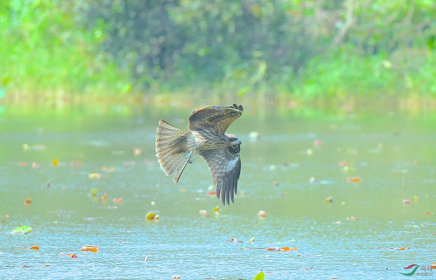 DSC_3616.jpg
