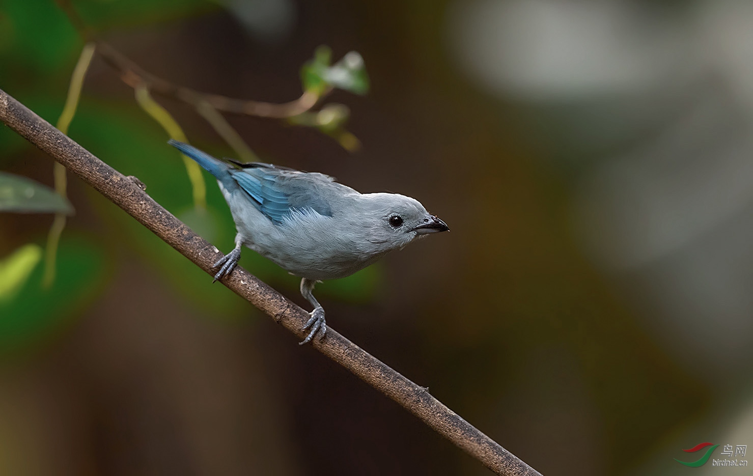 _DSC4518-1.jpg