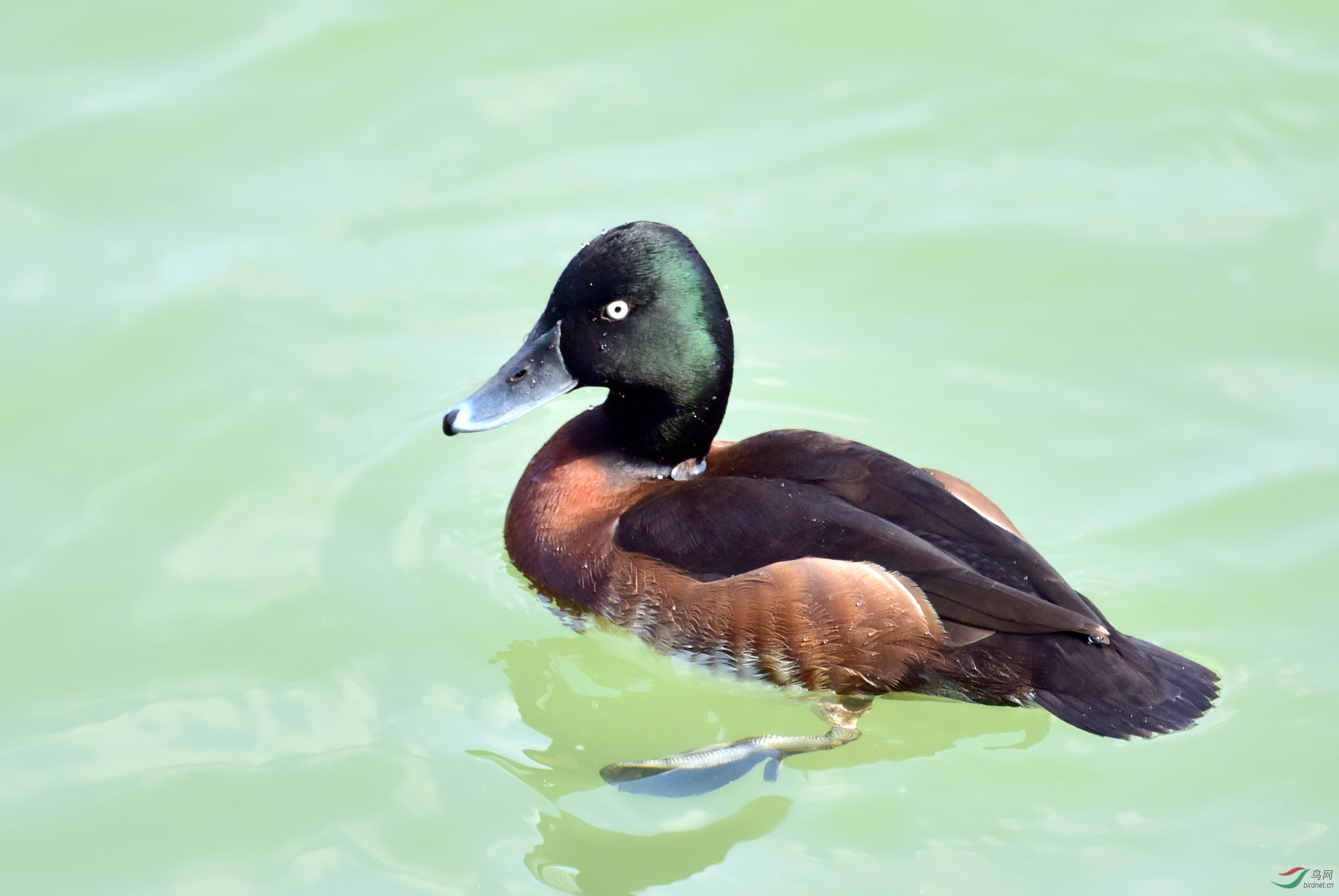 DSC_7192_conew2.jpg