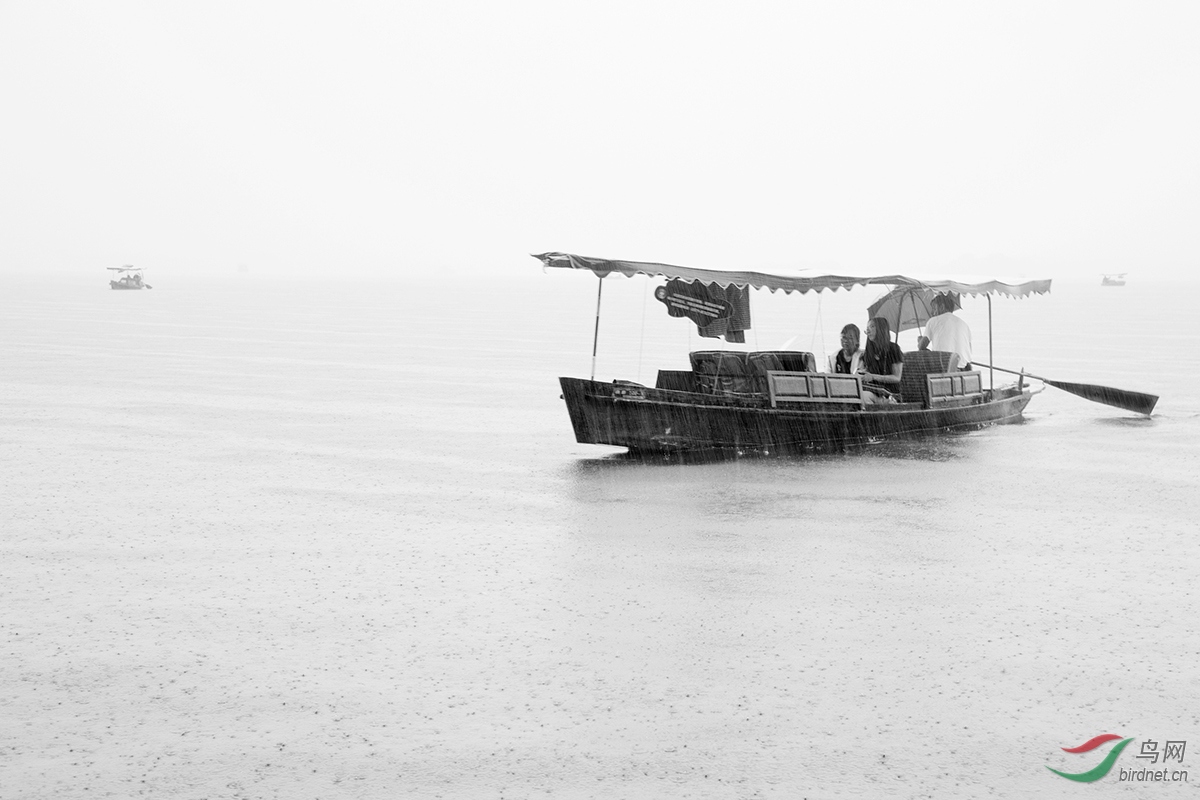 雨中泛舟