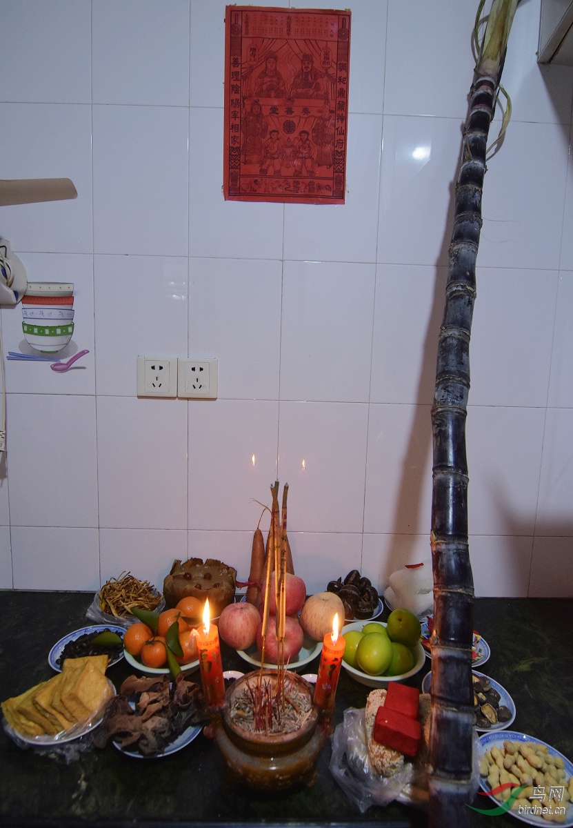 D72_6310.jpg