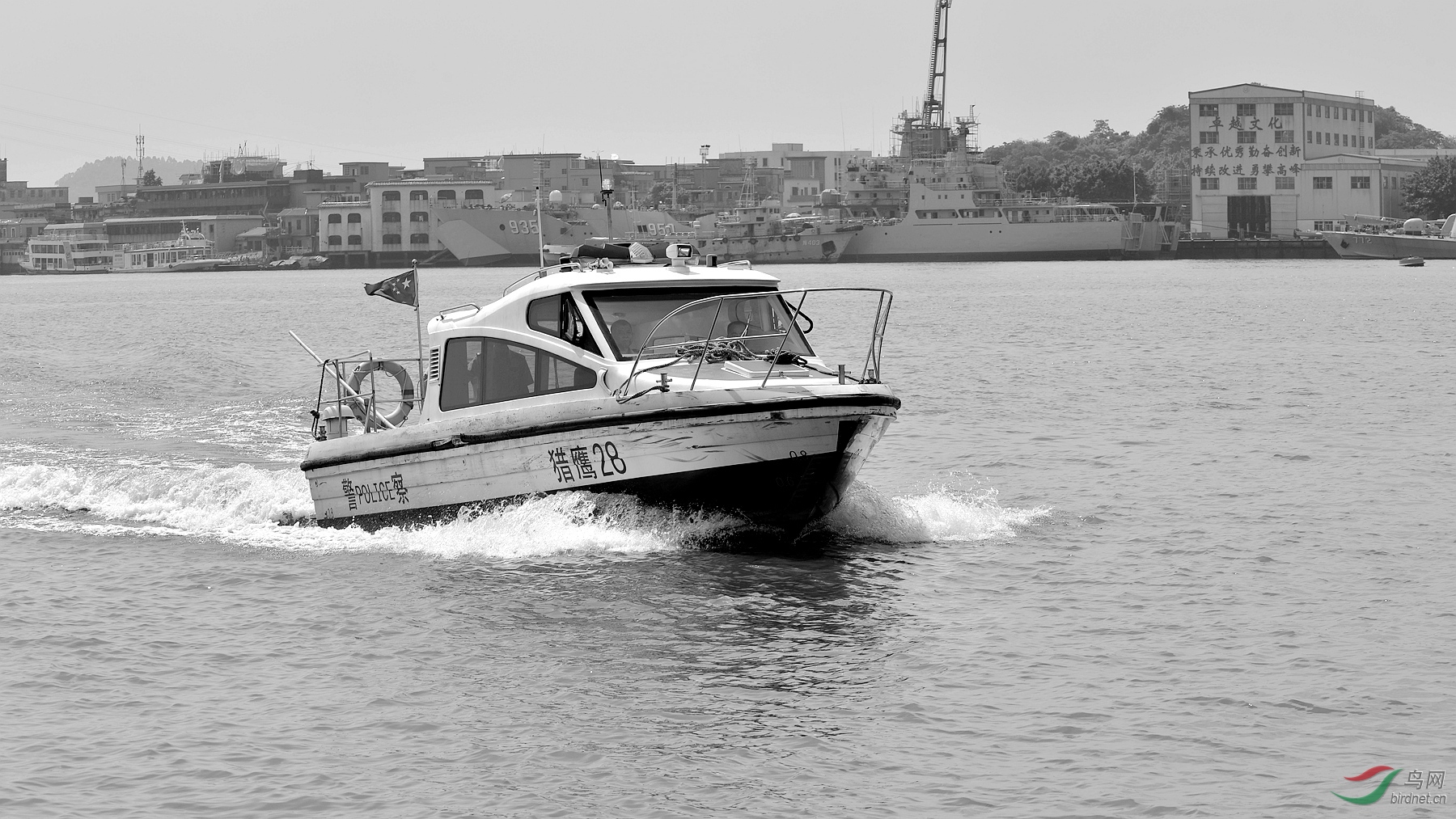 DSC_2432_����.jpg