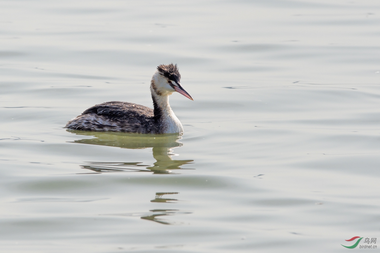 DSC_6310_1.jpg