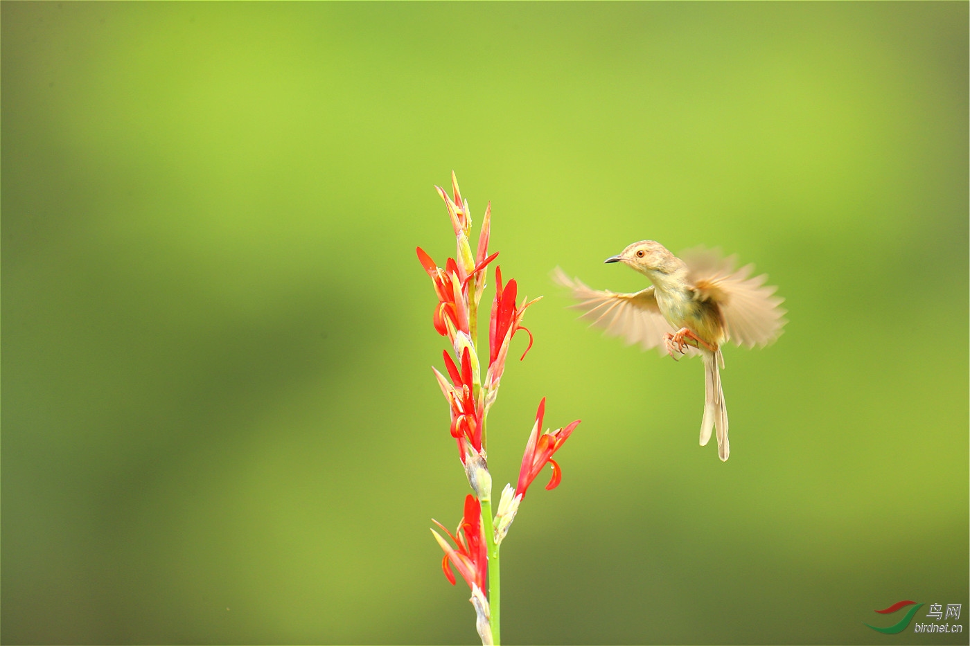 psb (58)_meitu_1.jpg