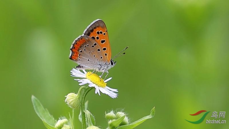 _2019012115201083 (7).jpg