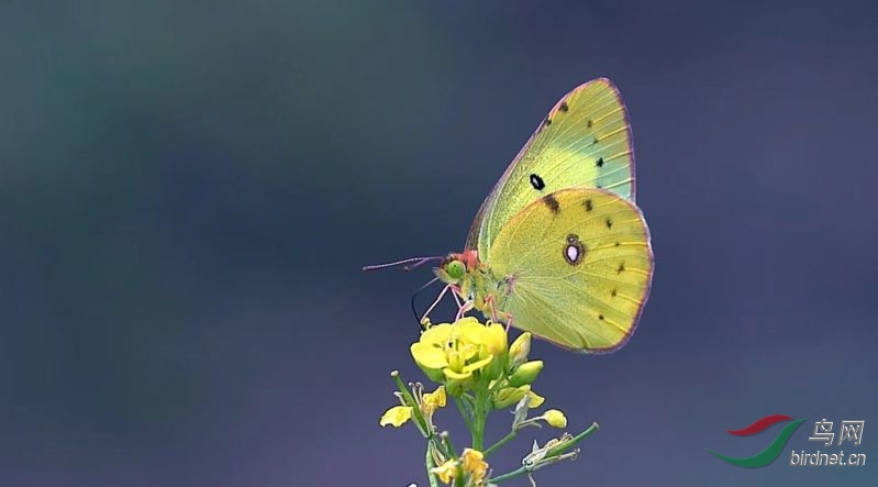 _2019012115201083 (10).jpg