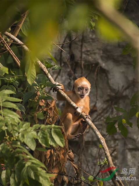 DSC_3129.jpg-0.jpg