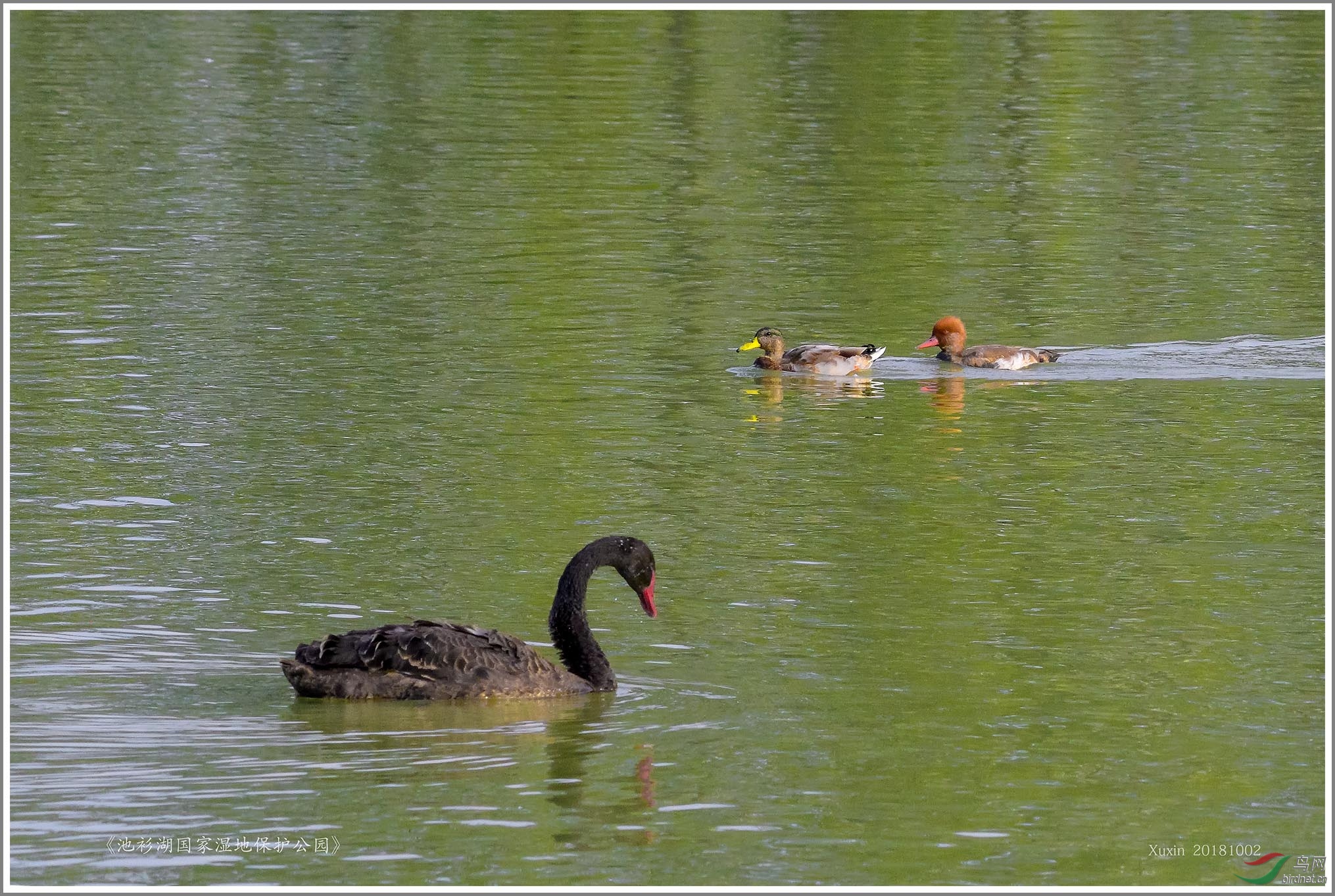 ��_XUX5440��Ϊ���ܶ���-1 2000.jpg