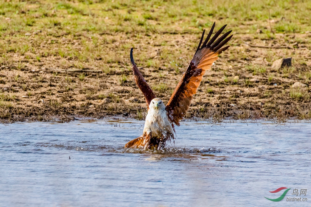 3S5A5637  ���ϴ��_����.jpg