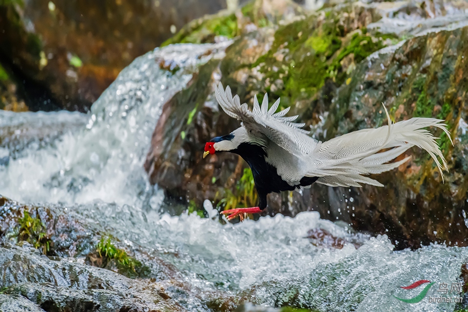 DSC_3689aa.jpg