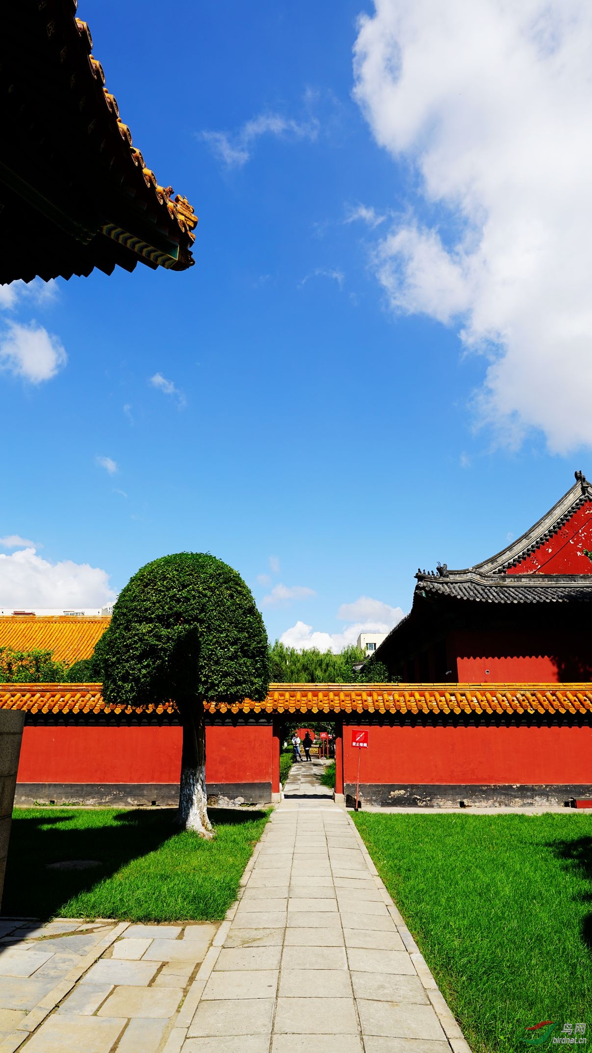 文庙- 人文纪实版 鸟网