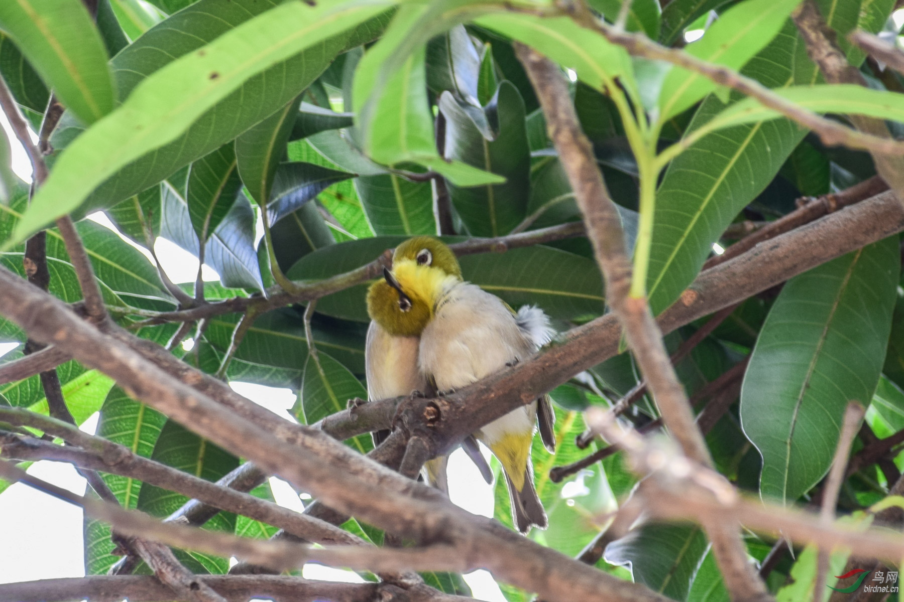 DSC_4041.jpg