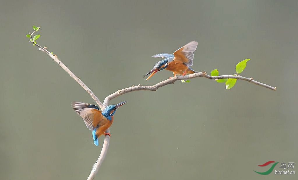 DSC_5360_����.jpg