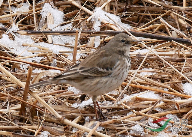 P1560850.JPG