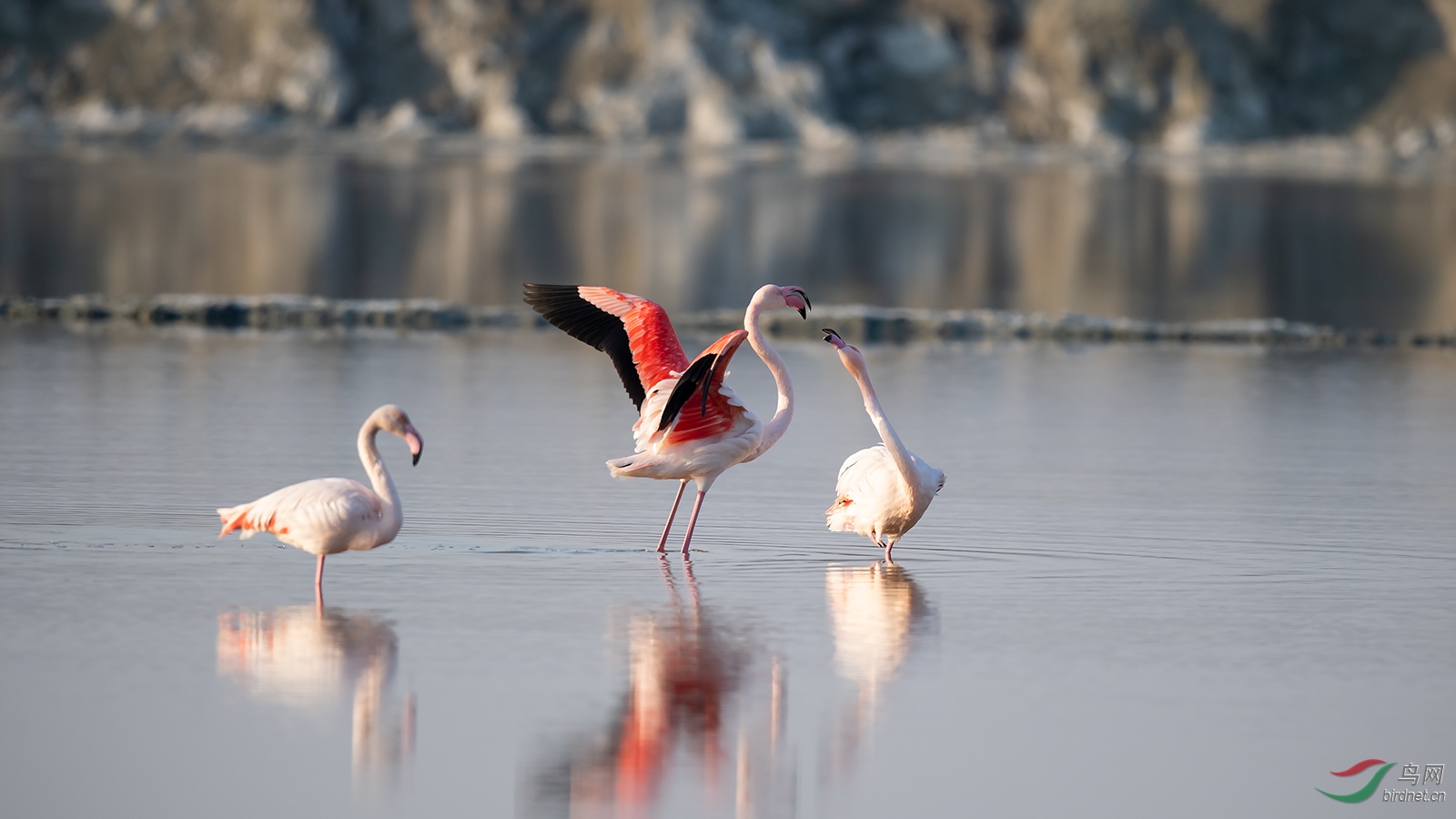 DSC_1167-1.jpg