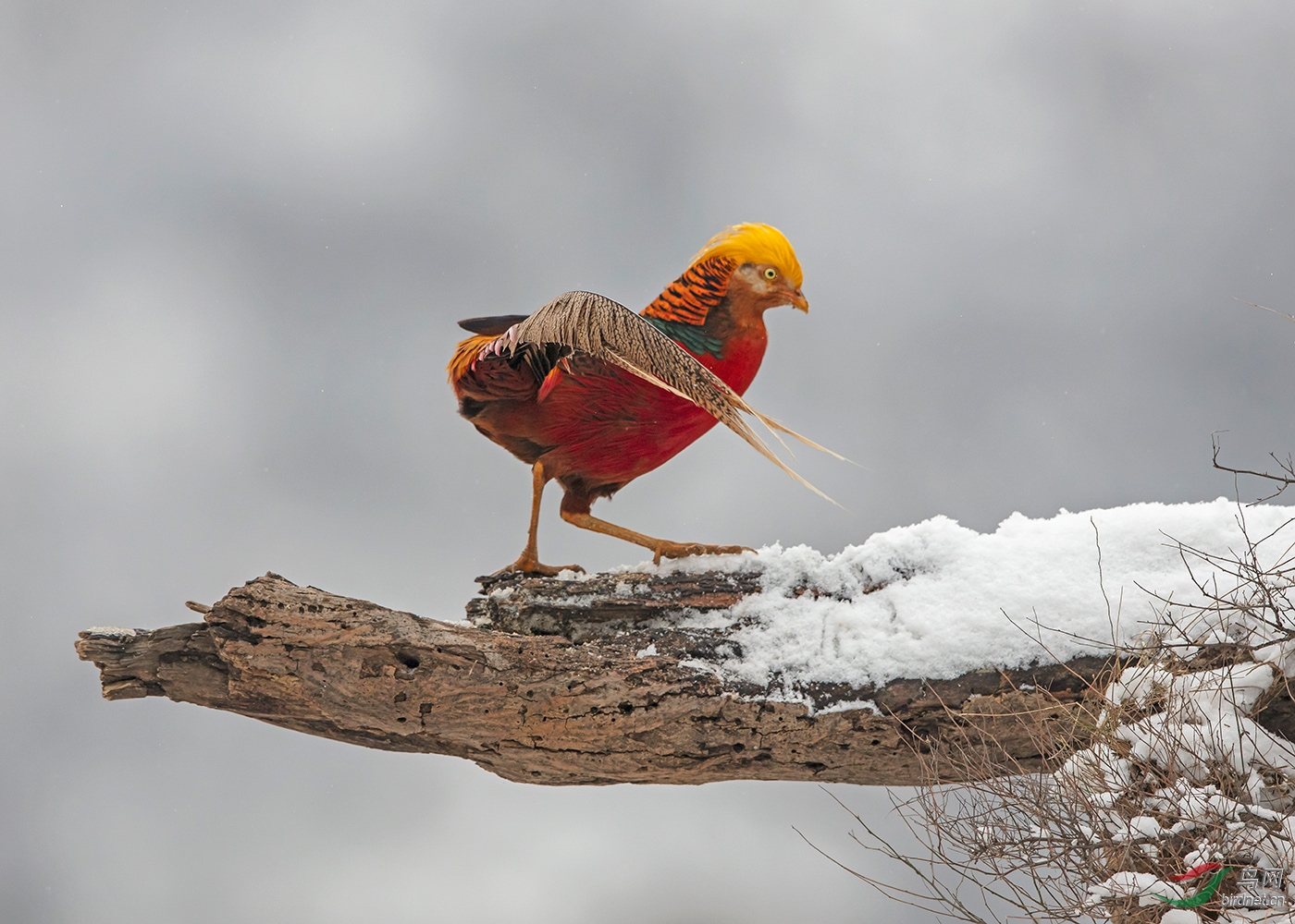 0Y6A2918 - ����.jpg