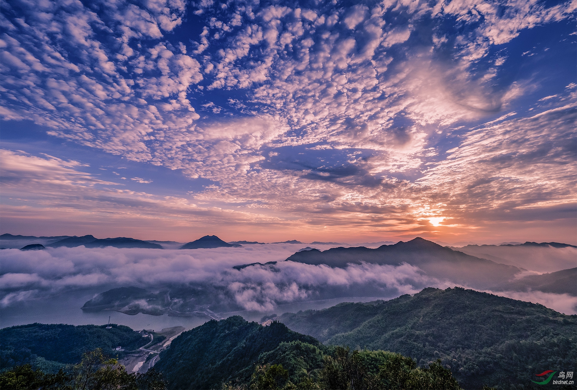 云蒸霞蔚大别山