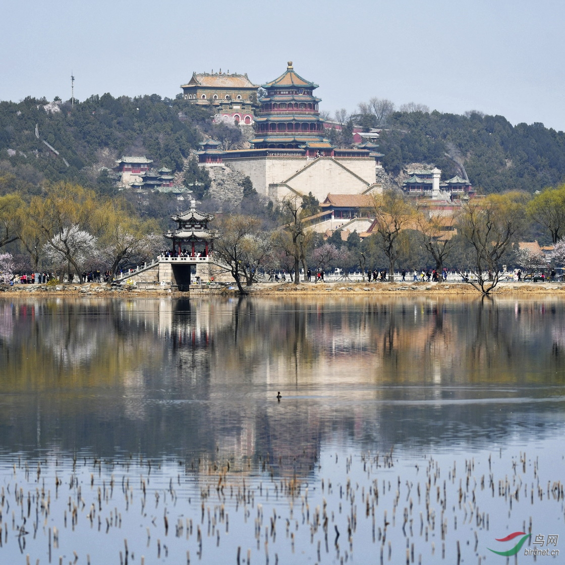 颐和园照片全景图片