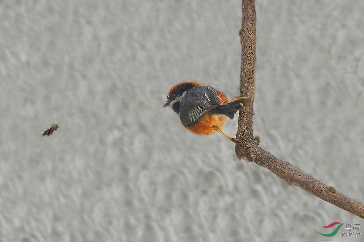 000 - ����.JPG