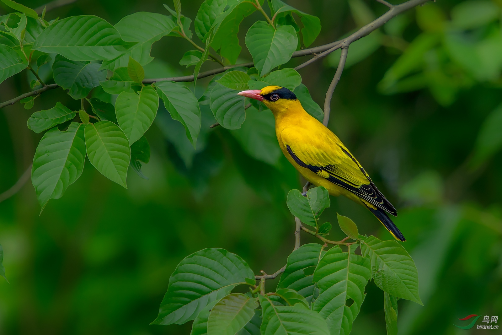 _DSC9800-1.jpg