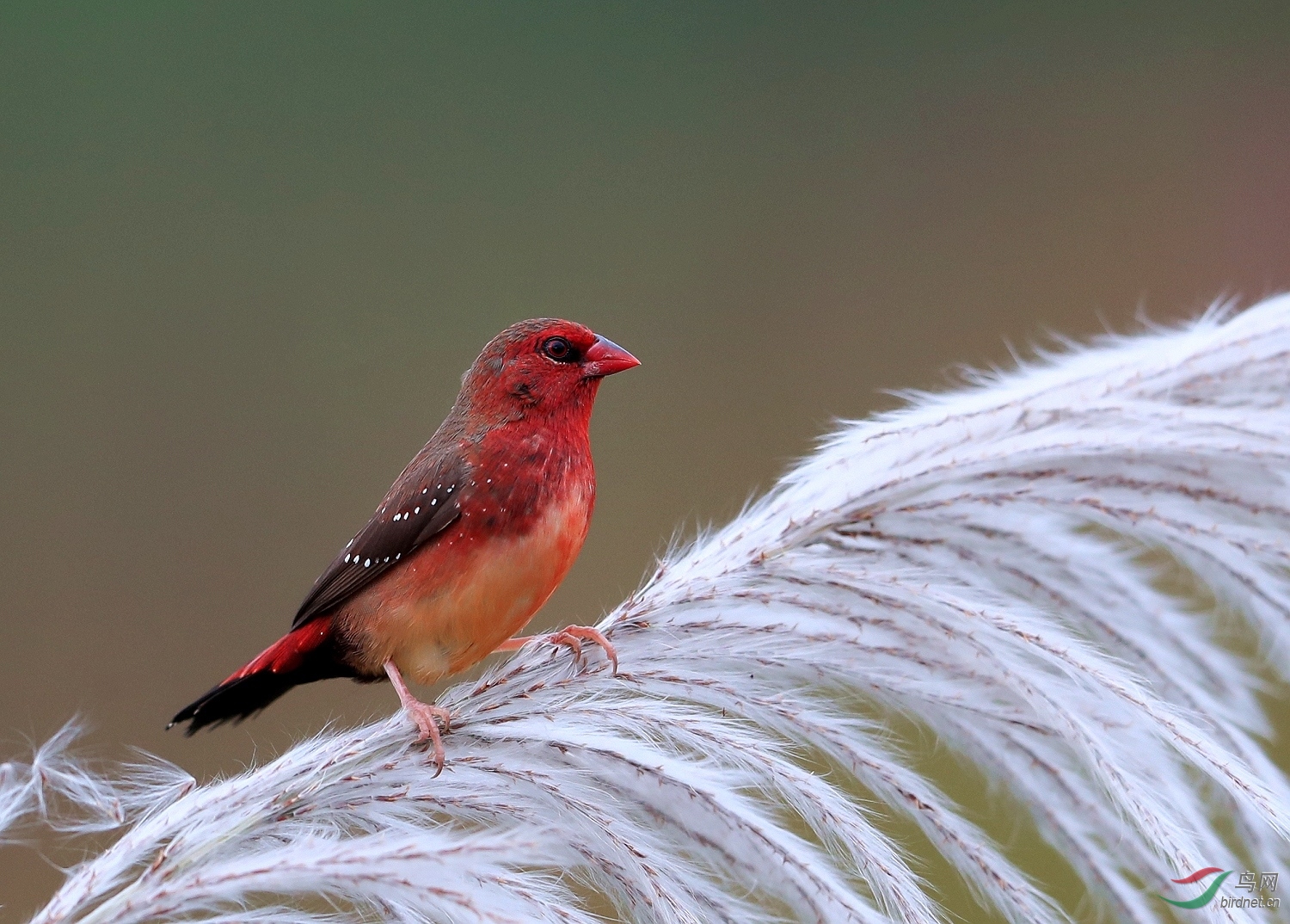 AI0I0980 - ����.JPG