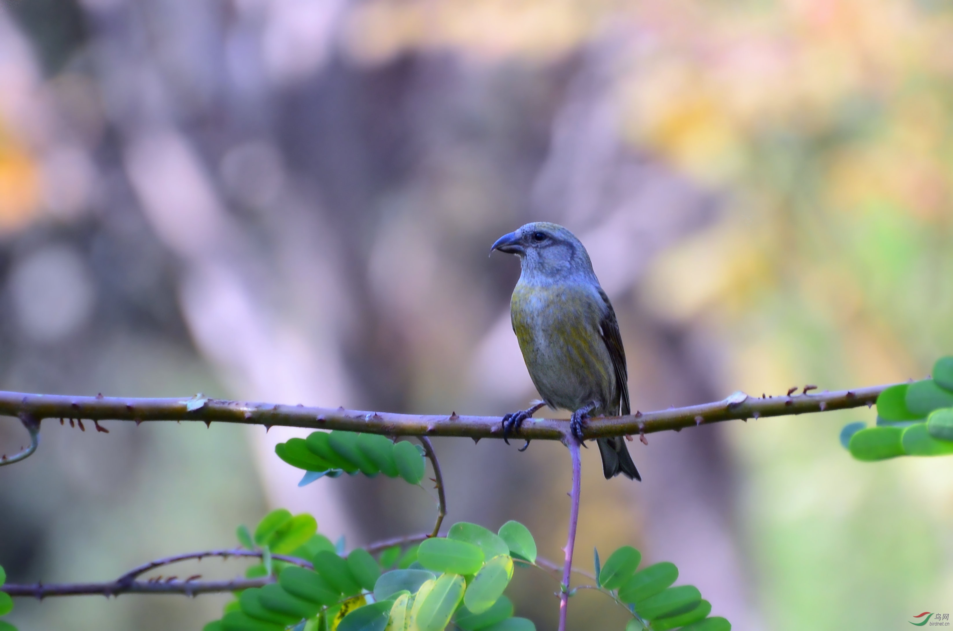DSC_0537.JPG