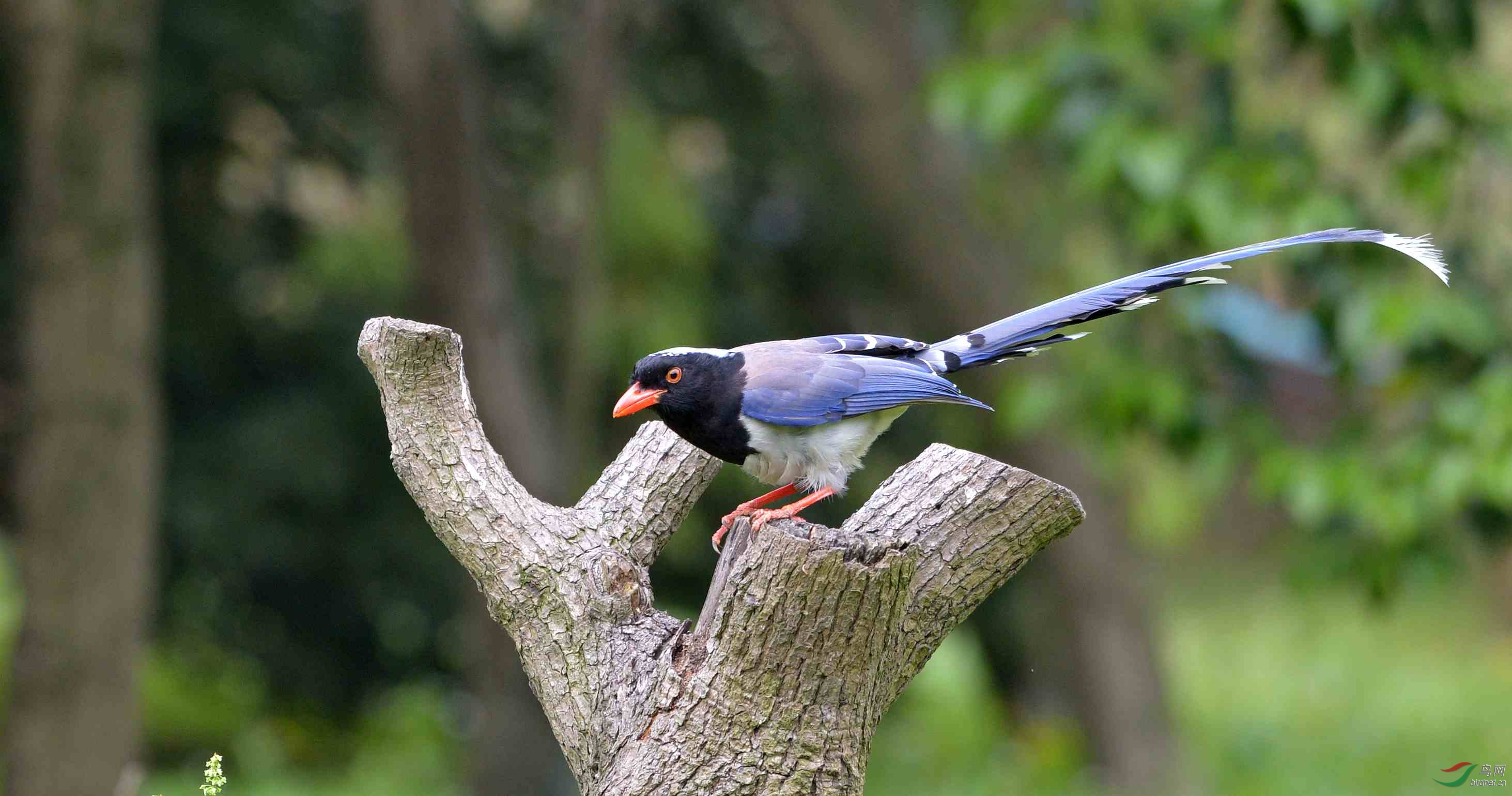 DSC_9688.JPG